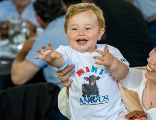 Alfredo S. Mondino – Olavarría – Destete