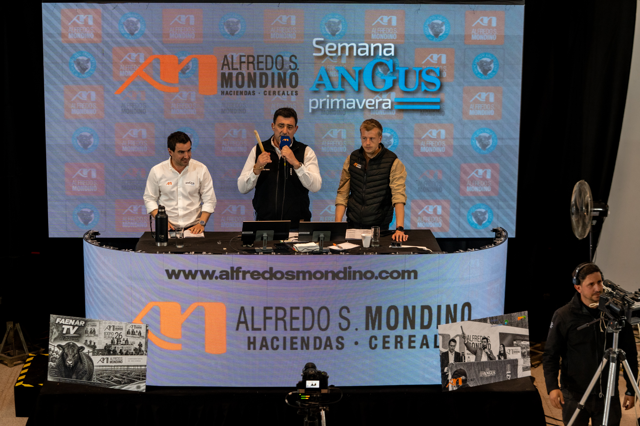 ASM – PUENTE VIEJO_D-50
